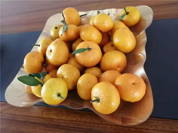 1577238409170764.jpg 2.jpg